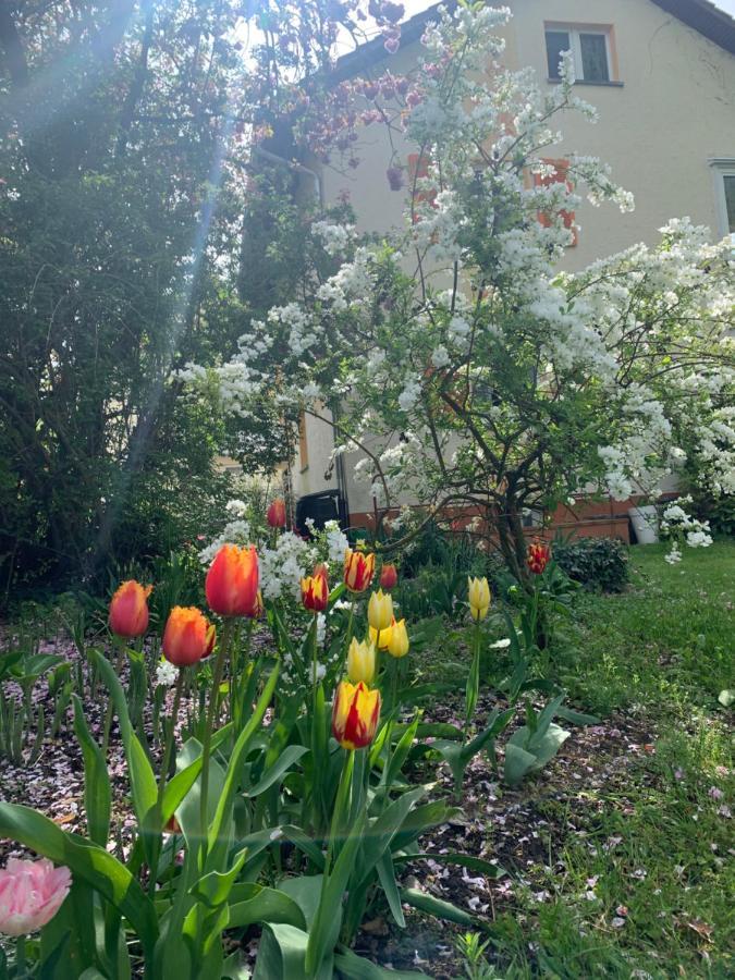 Apartament Blumenblick Rielasingen-Worblingen Exteriör bild