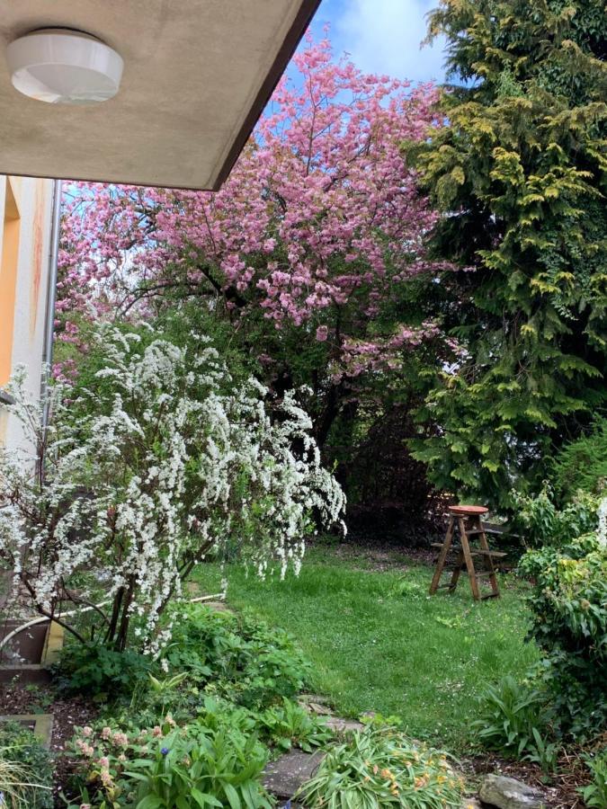 Apartament Blumenblick Rielasingen-Worblingen Exteriör bild
