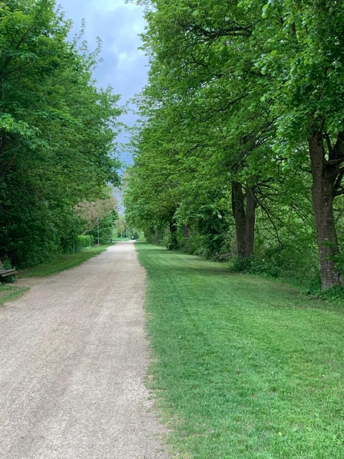 Apartament Blumenblick Rielasingen-Worblingen Exteriör bild